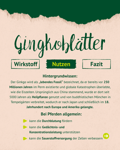 Lexa - Ginkgoblätter, 1kg