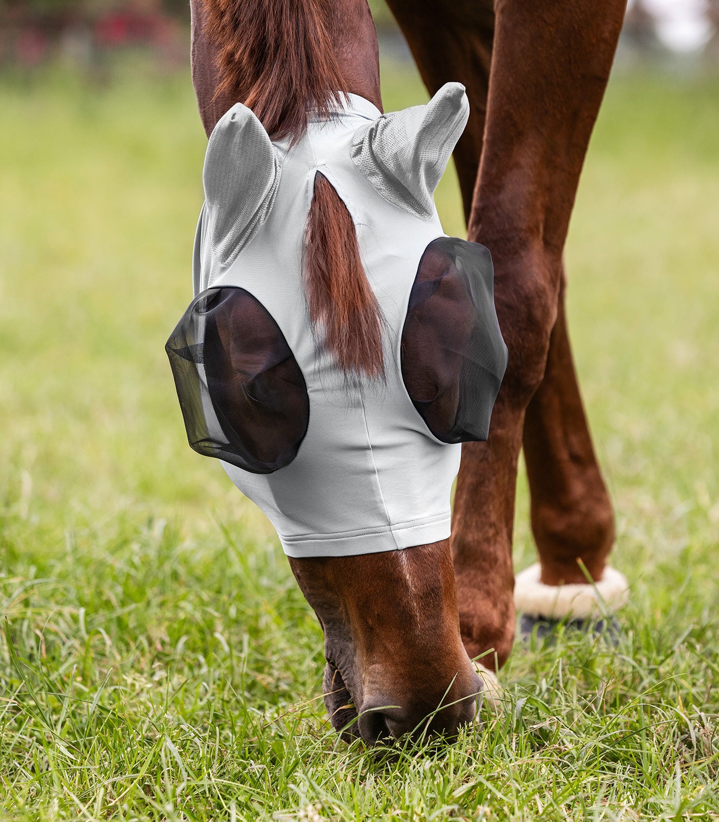 Waldhausen - Fliegenmaske Puck