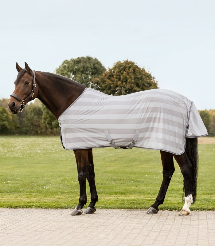 Waldhausen - Fliegendecke Economic