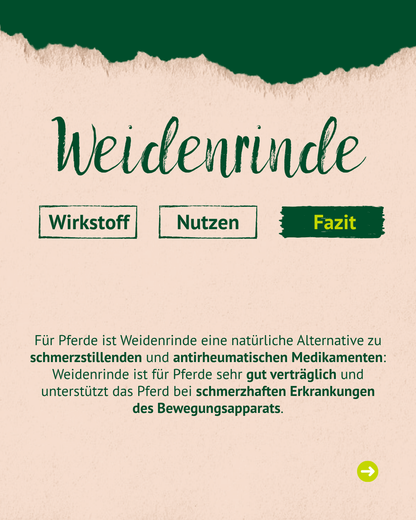 Lexa - Weidenrinde, 1kg