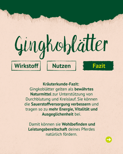 Lexa - Ginkgoblätter, 1kg