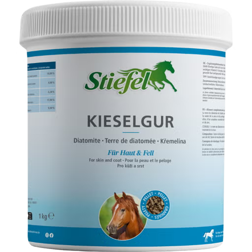 Stiefel - Kieselgur, 1 kg