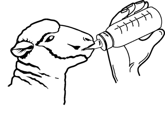 Kerbl - Lämmerflasche Anti-Vac