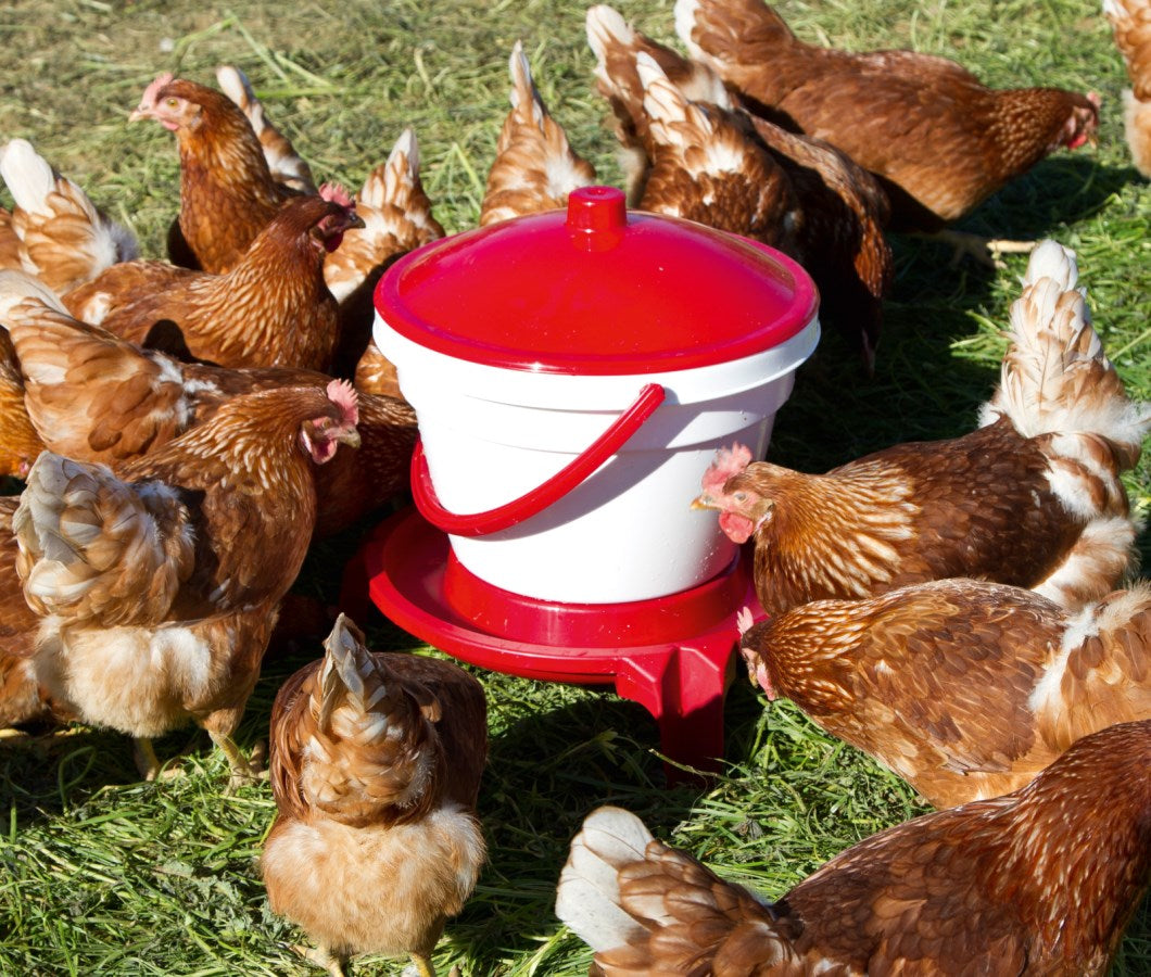 Kerbl - Geflügel-Tränkeeimer 12 L