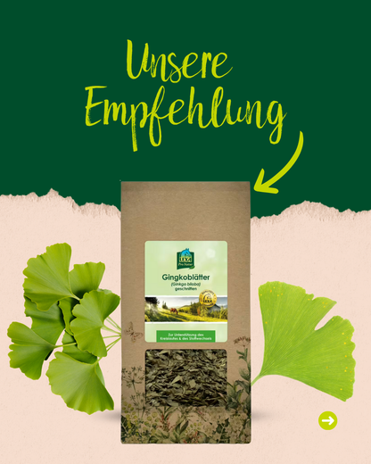 Lexa - Ginkgoblätter, 1kg