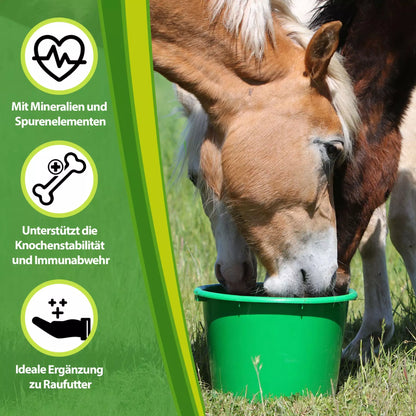 Eggersmann - Mineral Leckmasse