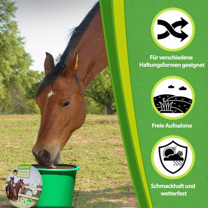 Eggersmann - Mineral Leckmasse