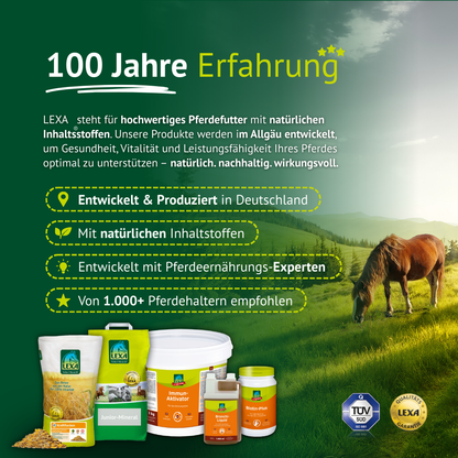 Lexa - Bronchi-Liquid, 1 l