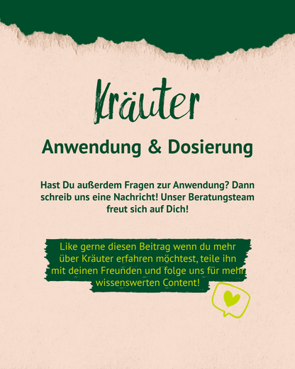Lexa - Ginkgoblätter, 1kg