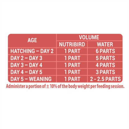 Versele-Laga - Allround