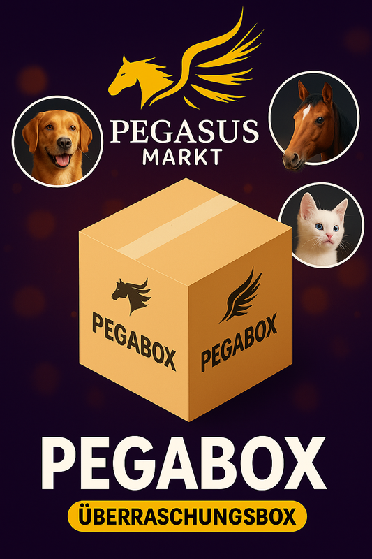 Pegabox Hund