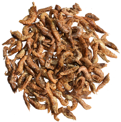 Rudloff - Süßwassershrimps