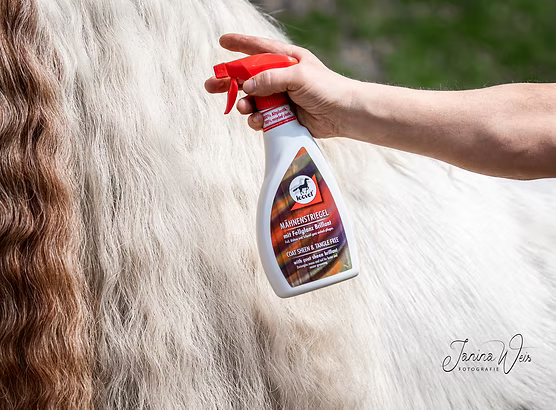 Leovet - Mähnenstriegel, 550 ml