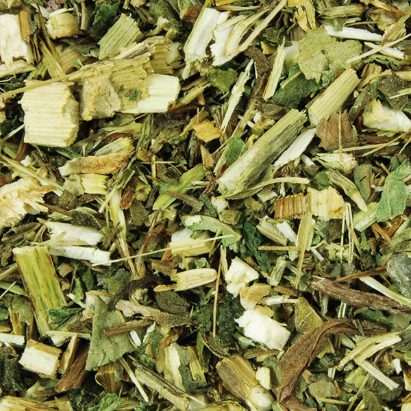 Nösenberger - Echinacea purpurea - Roter Sonnenhut 1 Kg