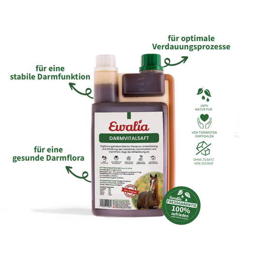 Ewalia - Darmvitalsaft für Pferde