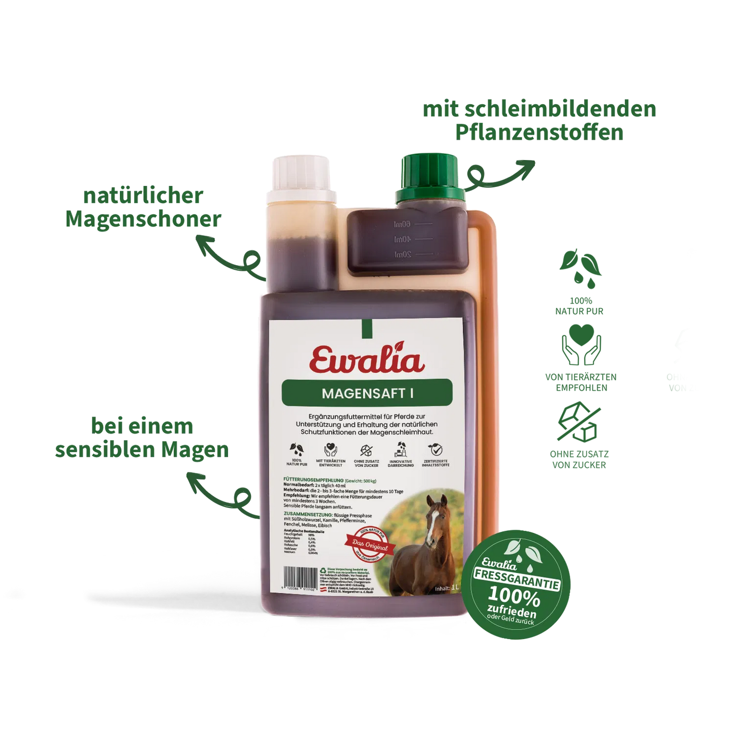 Ewalia - Magensaft I