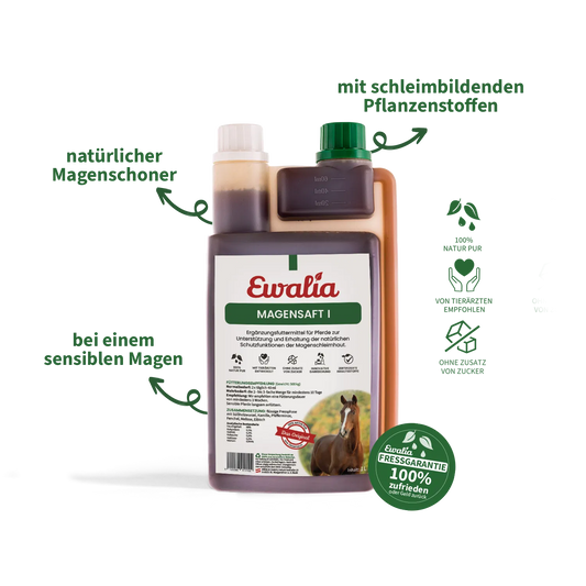 Ewalia - Magensaft I