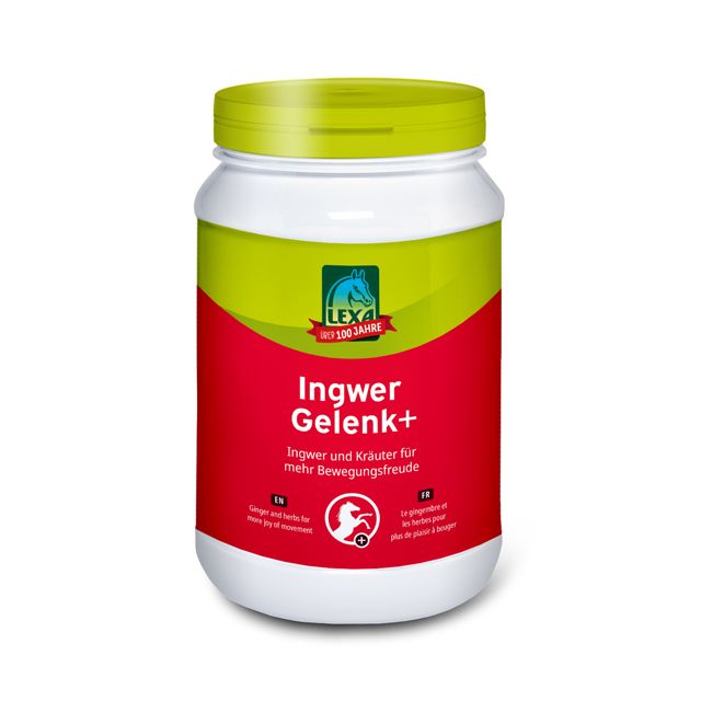 lexa - Ingwer Gelenk+, 1kg