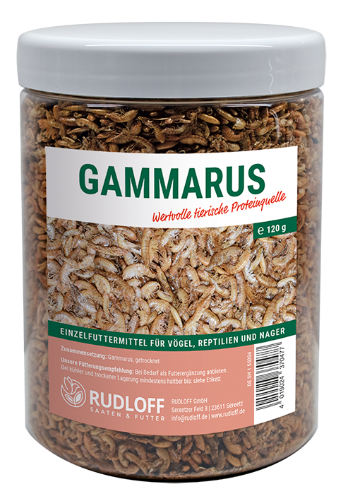 Rudloff - Gammarus