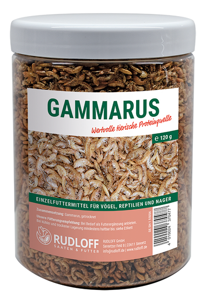 Rudloff - Gammarus