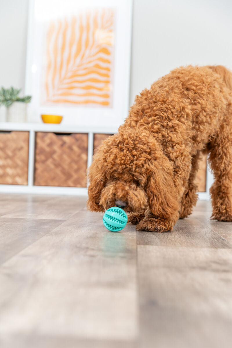 Trixie - Denta Fun Ball