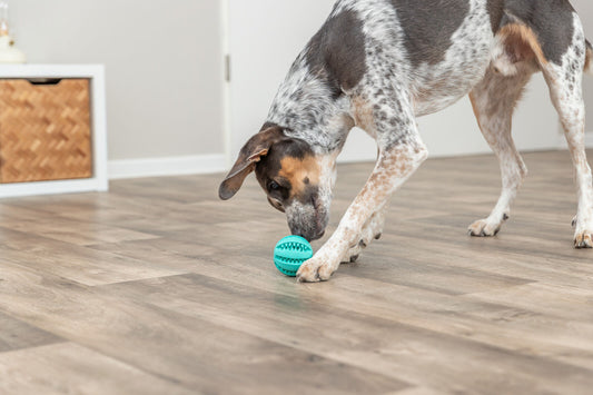 Trixie - Denta Fun Ball