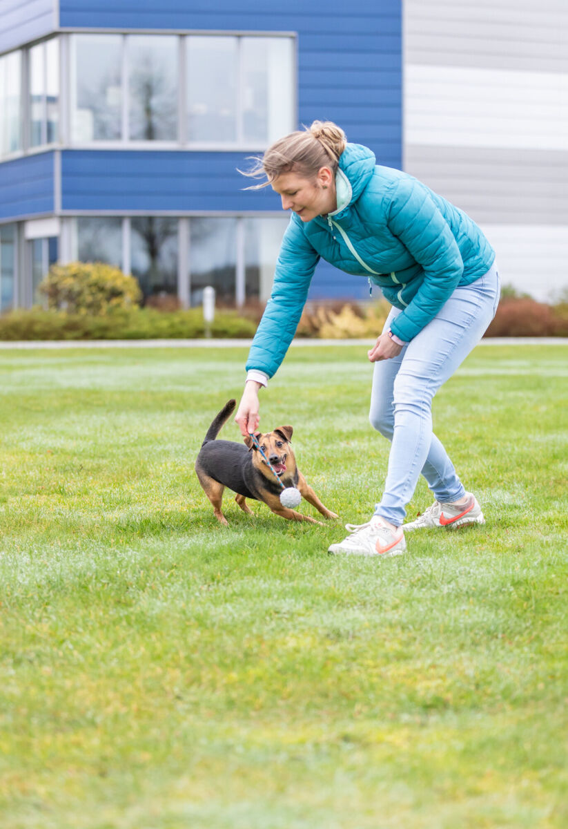 Trixie - Ball am Seil, Naturgummi