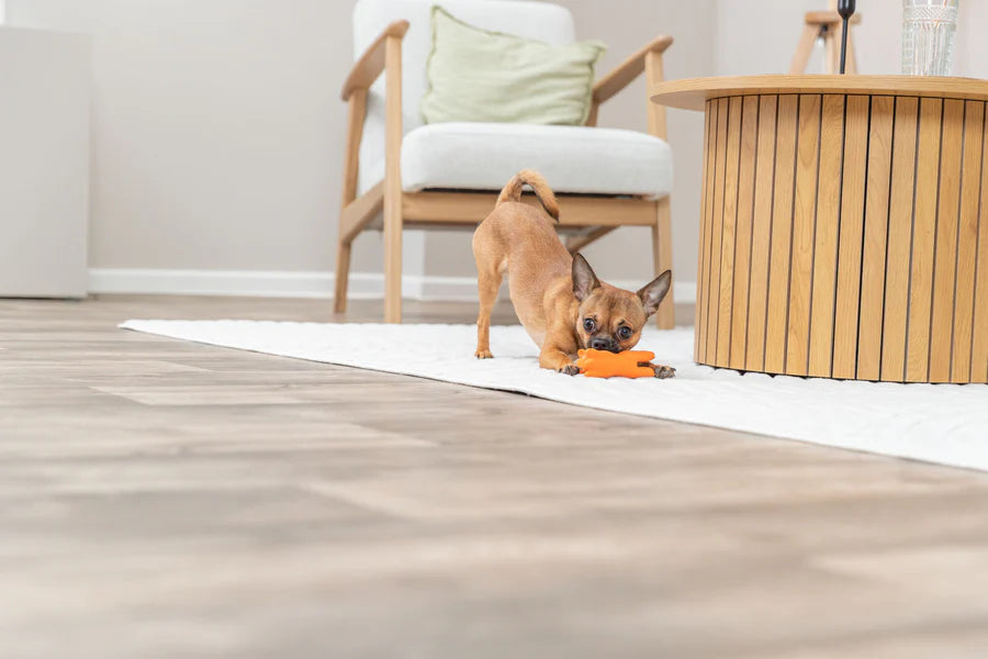 Trixie - Hundespielzeug Spanferkel