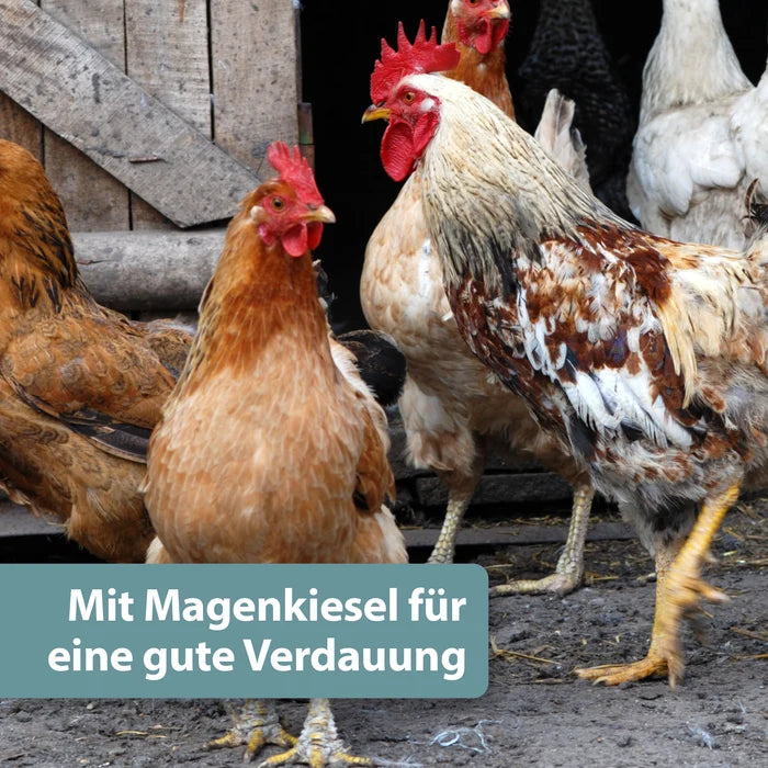 Quiko - Hobby Farming Mineralgrit mit Magenkiesel 1500g