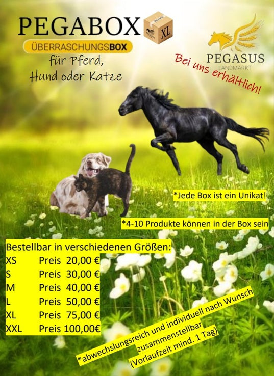 Pegabox Pferd