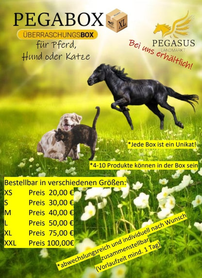 Pegabox Pferd