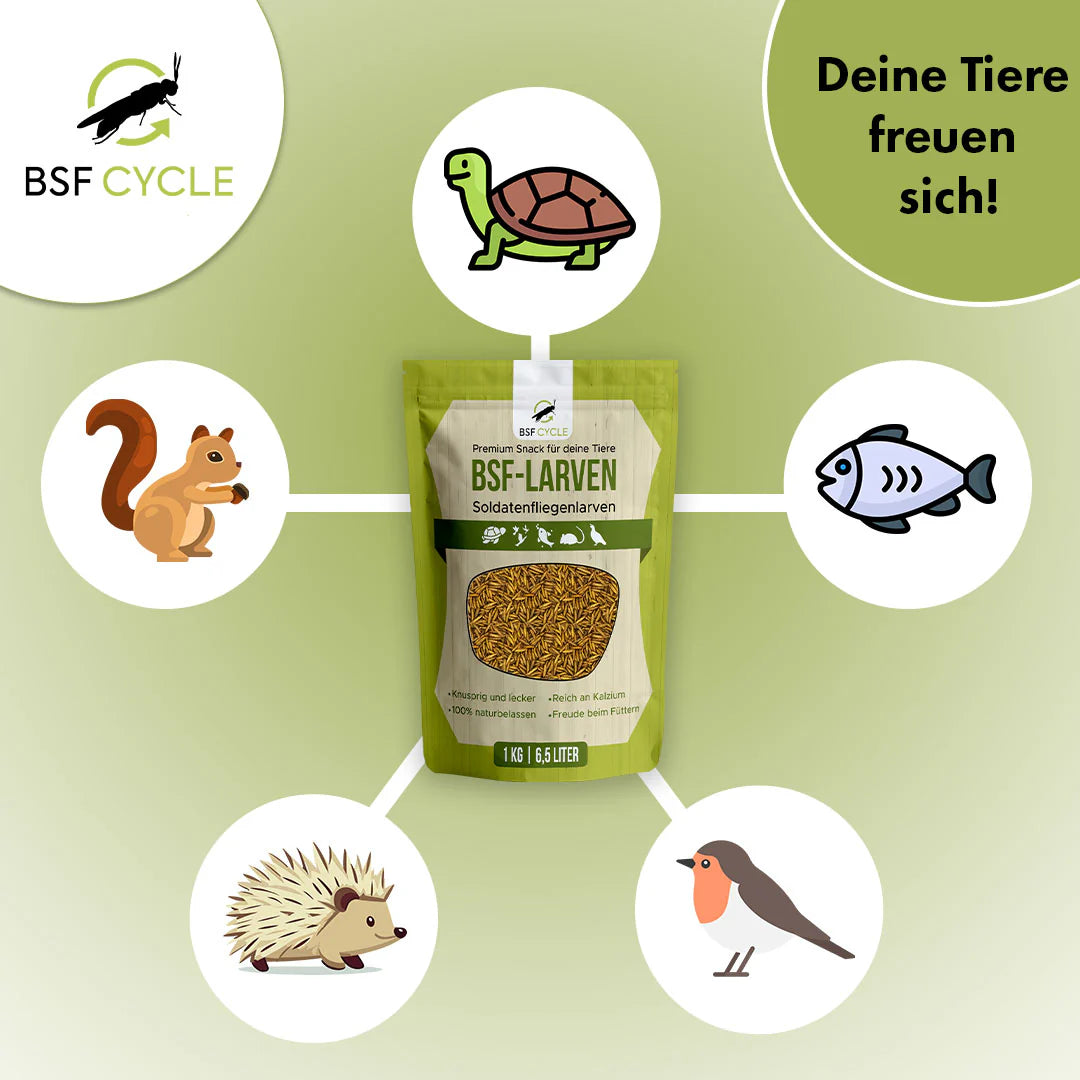 BSF Larven - getrocknete Soldatenfliegenlarven