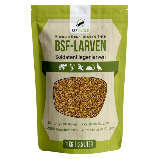 BSF Larven - getrocknete Soldatenfliegenlarven