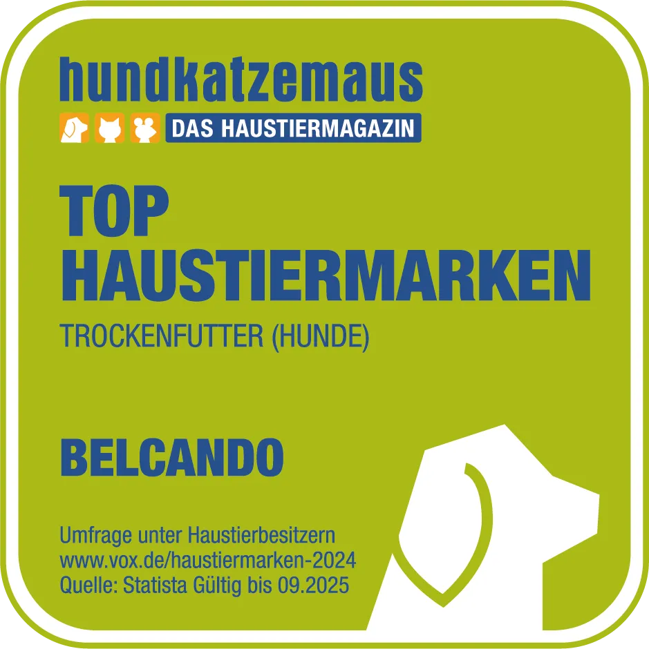 Belcando - Junior Maxi