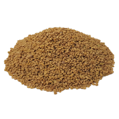 Hotte Maxe - Bockshornklee, ganze Samen, 500g