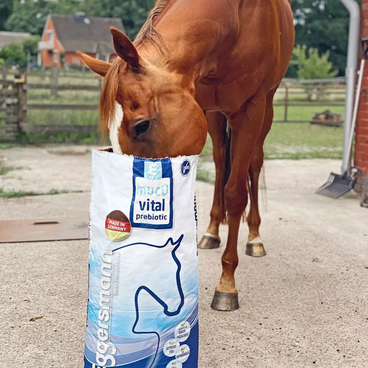 Eggersmann - VET mucOvital prebiotic 20 kg