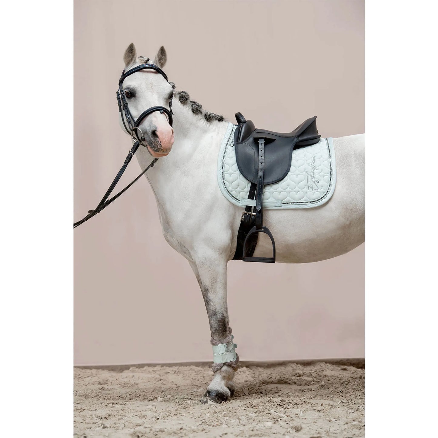 Eskadron - Classic Sports Schabracke " Baumwolle Glitter Crystal " Form - Pony-Dressur Farbe - powder green