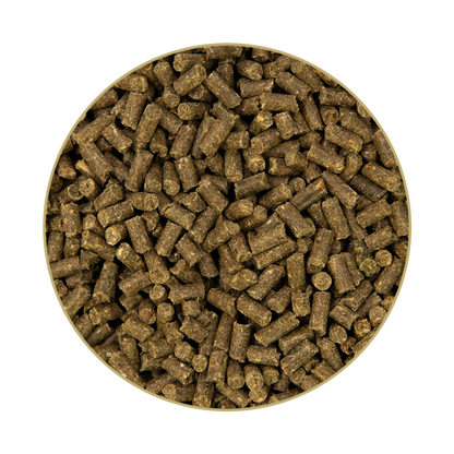 St. Hippolyt - Fohlengold® BoneCare 1 kg