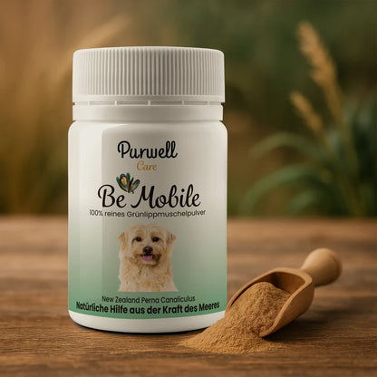 Purwell -Grünlippmuschelpulver für Hunde