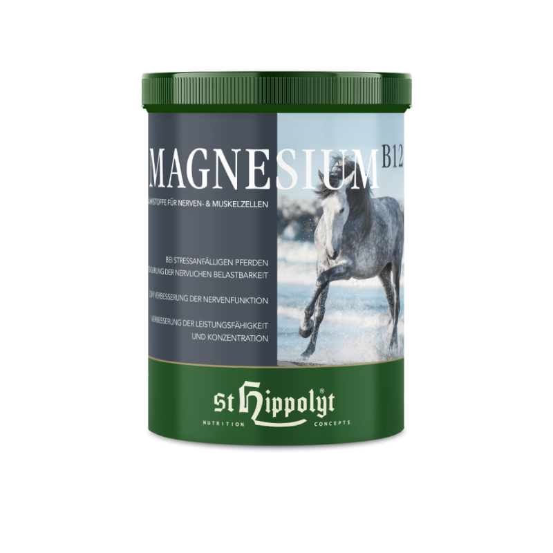 St. Hippolyt - Magnesium B12, 1 kg