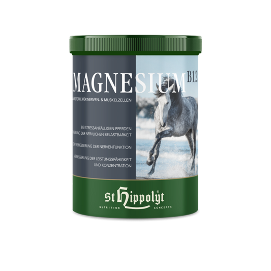 St. Hippolyt - Magnesium B12, 1 kg