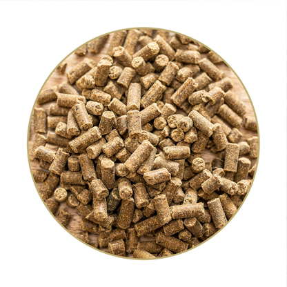 St. Hippolyt - Magnesium B12, 1 kg