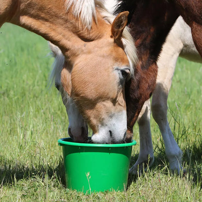 Eggersmann - Mineral Leckmasse