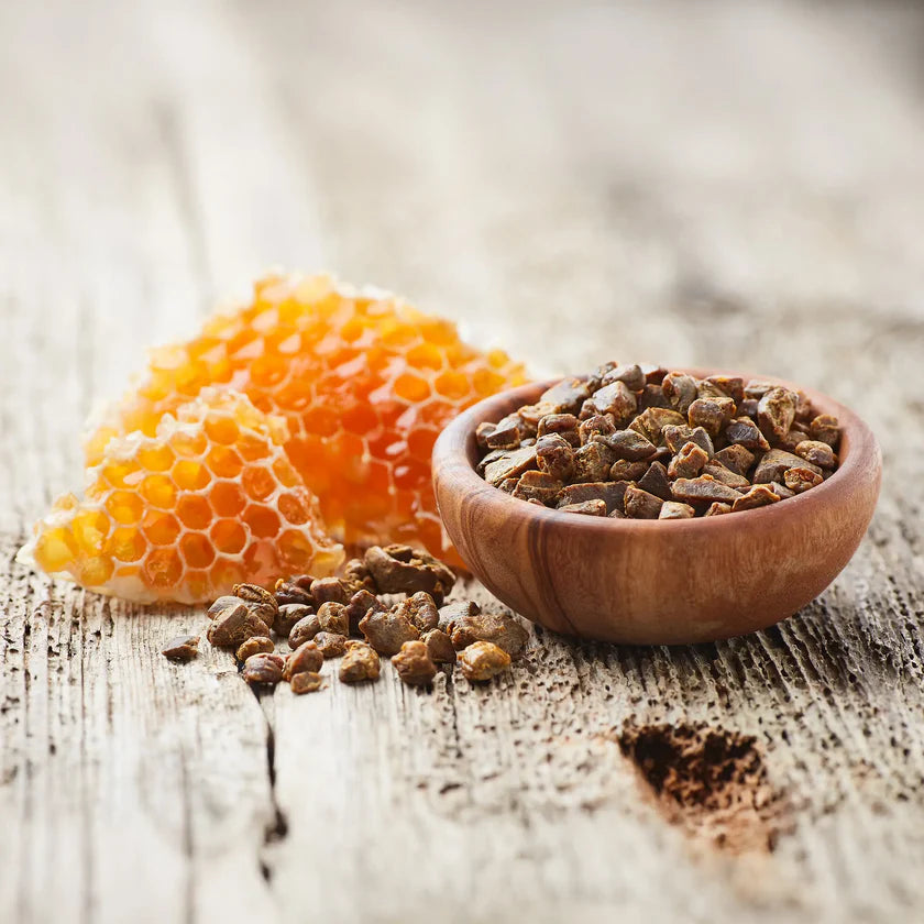 Purwell - Propolis Lösung für Hunde - Alkoholfrei 30ml