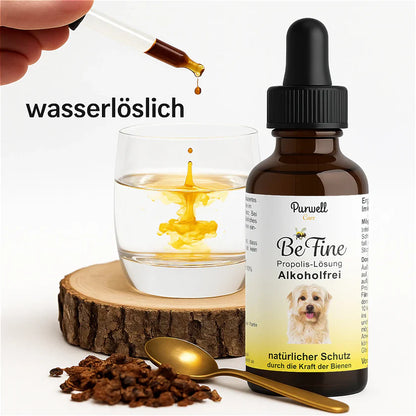 Purwell - Propolis Lösung für Hunde - Alkoholfrei 30ml